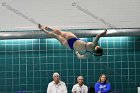 Swimming & Diving vs RWU  Swimming & Diving vs Roger Williams University. - Photo by Keith Nordstrom : Wheaton, Swimming